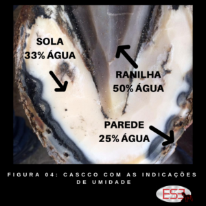 LINHA EMOCIONAL (2)