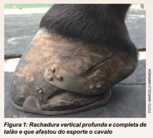 figura01rachaduraverticalprofunda_palmilhaese