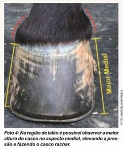 figura04regiaotalaopalmilhaese