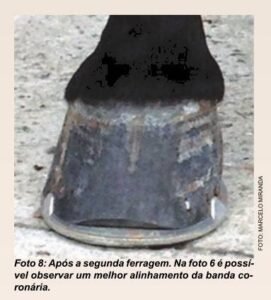 figura08aposegundaferragem_palmilhaese