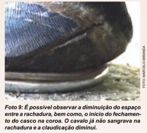 fugura09diminuicaoespacorahadura_palmilhaese