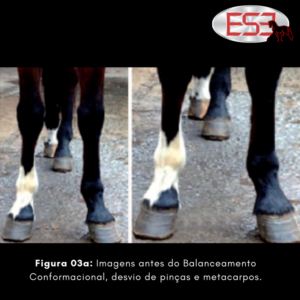 Figura 03a: Imagens antes do Balanceamento Conformacional, desvio de pinças e metacarpos.